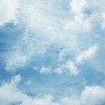 【再開園のお知らせ】6月4日（木）より通常通り開園しております
